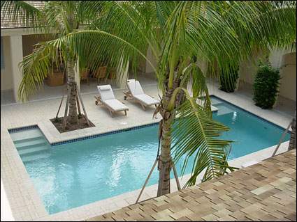 Davidson Residence Outside Pool Top View